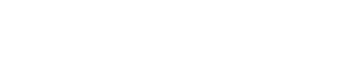 Devise Group